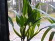 tn_gallery_1429_28689.jpg