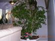 tn_gallery_1429_42865.jpg