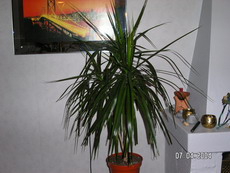 gallery_1429_12712.jpg