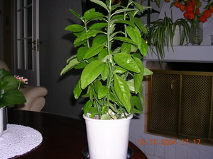 gallery_1429_555.jpg