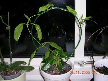 gallery_1429_28467.jpg