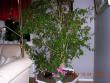 tn_gallery_1429_17465.jpg
