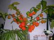 tn_gallery_1429_20556.jpg