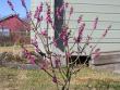 tn_gallery_1429_35539.jpg