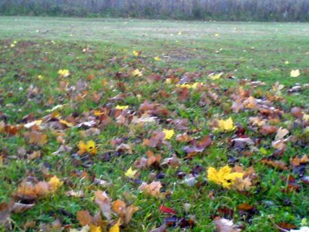 gallery_2895_1437_18419.jpg