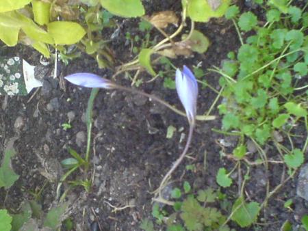 gallery_2895_1437_33417.jpg