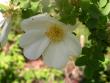 tn_gallery_387_1441_98784.jpg
