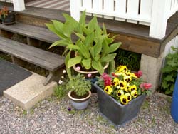 gallery_1443_13677.jpg