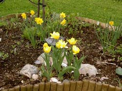 gallery_1443_14977.jpg