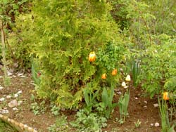 gallery_1443_16089.jpg