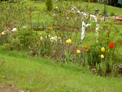 gallery_1443_2924.jpg