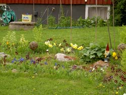 gallery_1443_3182.jpg