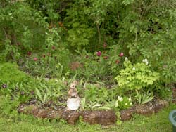 gallery_1443_3706.jpg