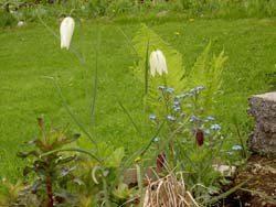 gallery_1443_5518.jpg
