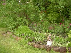 gallery_1443_5701.jpg