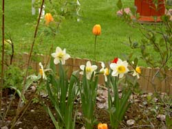 gallery_1443_8637.jpg