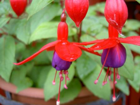 gallery_1444_27787.jpg
