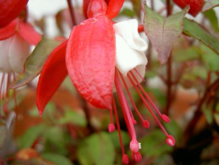 gallery_1444_59790.jpg