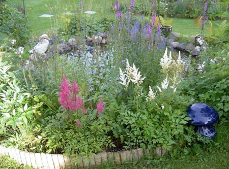gallery_1444_62267.jpg