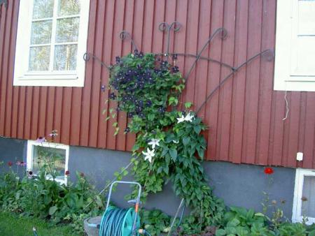 gallery_1445_26088.jpg
