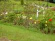 tn_gallery_1443_2924.jpg