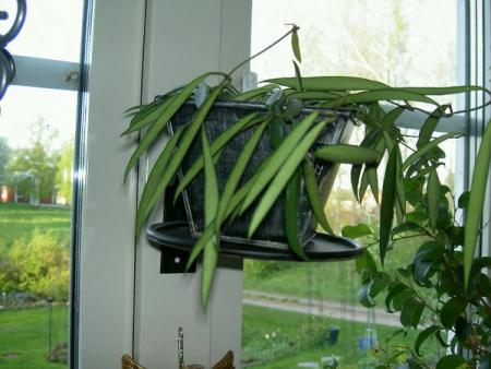 gallery_1450_10085.jpg