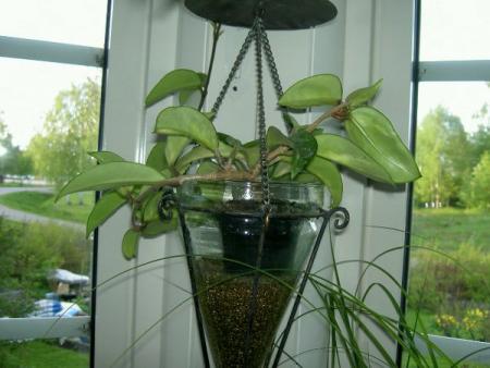 gallery_1450_11006.jpg