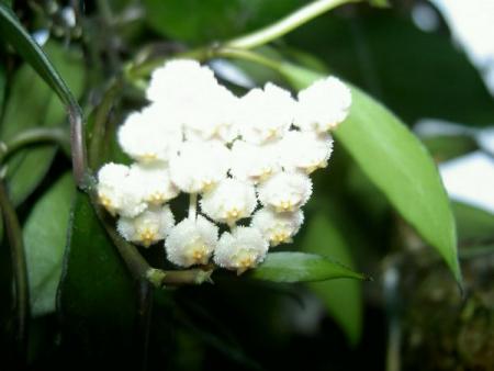 gallery_1450_25876.jpg