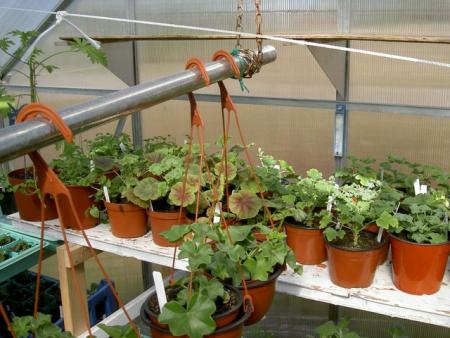 gallery_1452_20574.jpg