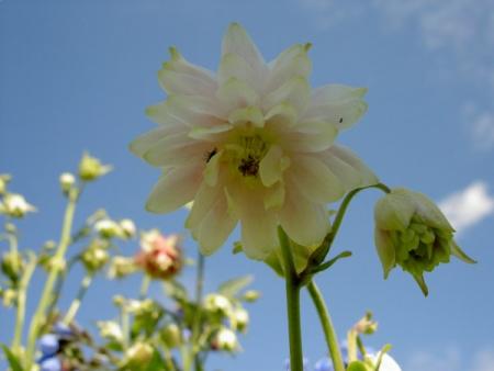 gallery_1453_22963.jpg