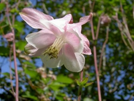 gallery_1453_29963.jpg