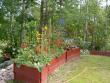 tn_gallery_1446_19942.jpg