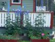 tn_gallery_1453_44669.jpg