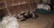 tn_gallery_1457_1265.jpg