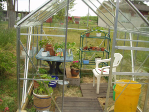 gallery_1455_51381.jpg