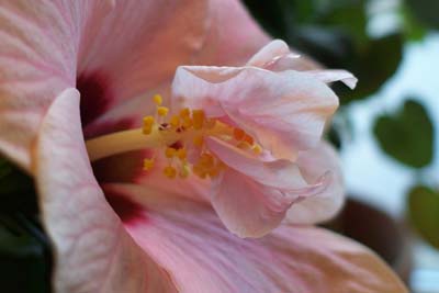 gallery_1456_6617.jpg