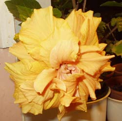 gallery_1456_698.jpg