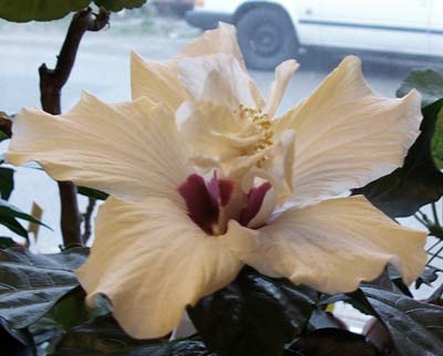 gallery_1456_9279.jpg