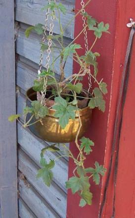 gallery_1456_14106.jpg