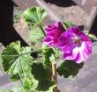 tn_gallery_1456_18764.jpg