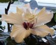tn_gallery_1456_9279.jpg
