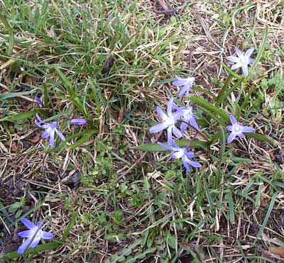 gallery_1455_32646.jpg