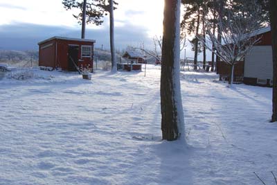 gallery_1455_5754.jpg