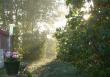 tn_gallery_1455_3346.jpg