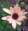 tn_gallery_1455_3828.jpg