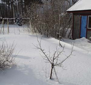 gallery_1455_12880.jpg