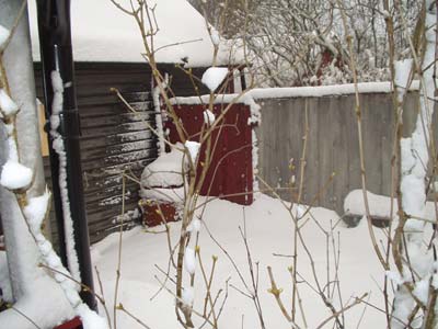 gallery_1455_20734.jpg