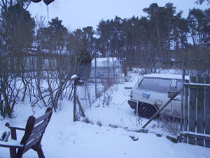 gallery_1455_35807.jpg