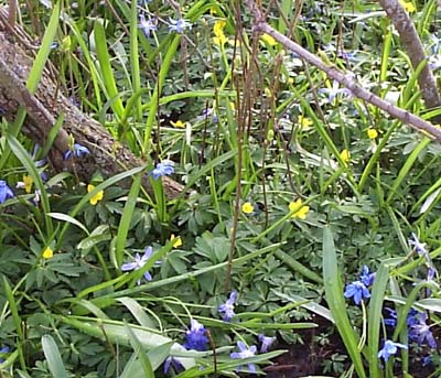 gallery_1455_38296.jpg
