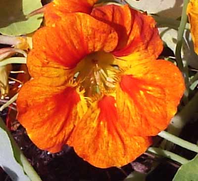 gallery_1455_4103.jpg